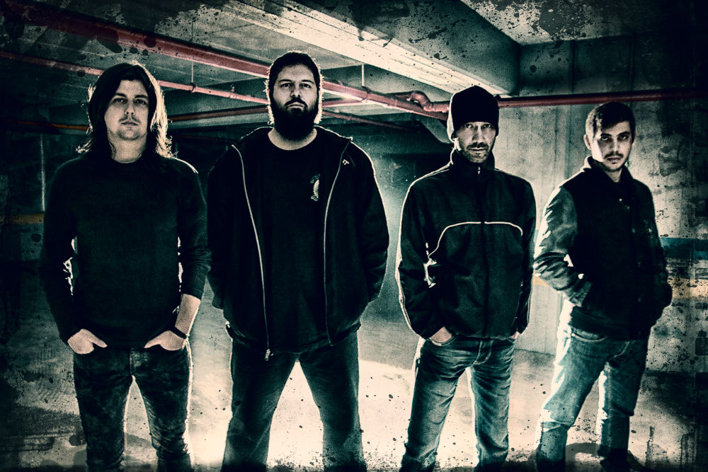 Dryed new video clip