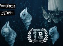 1000mods: Lucid @ Animasyros Festival