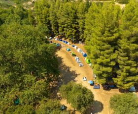11ο Μουσικό Φεστιβάλ Ελάτειας με Χαρούλη, Μποφίλιου, Αγγελάκα και Ιωαννίδη