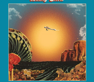 "Armadillos & Giant Burritos" | Lucky Shots
